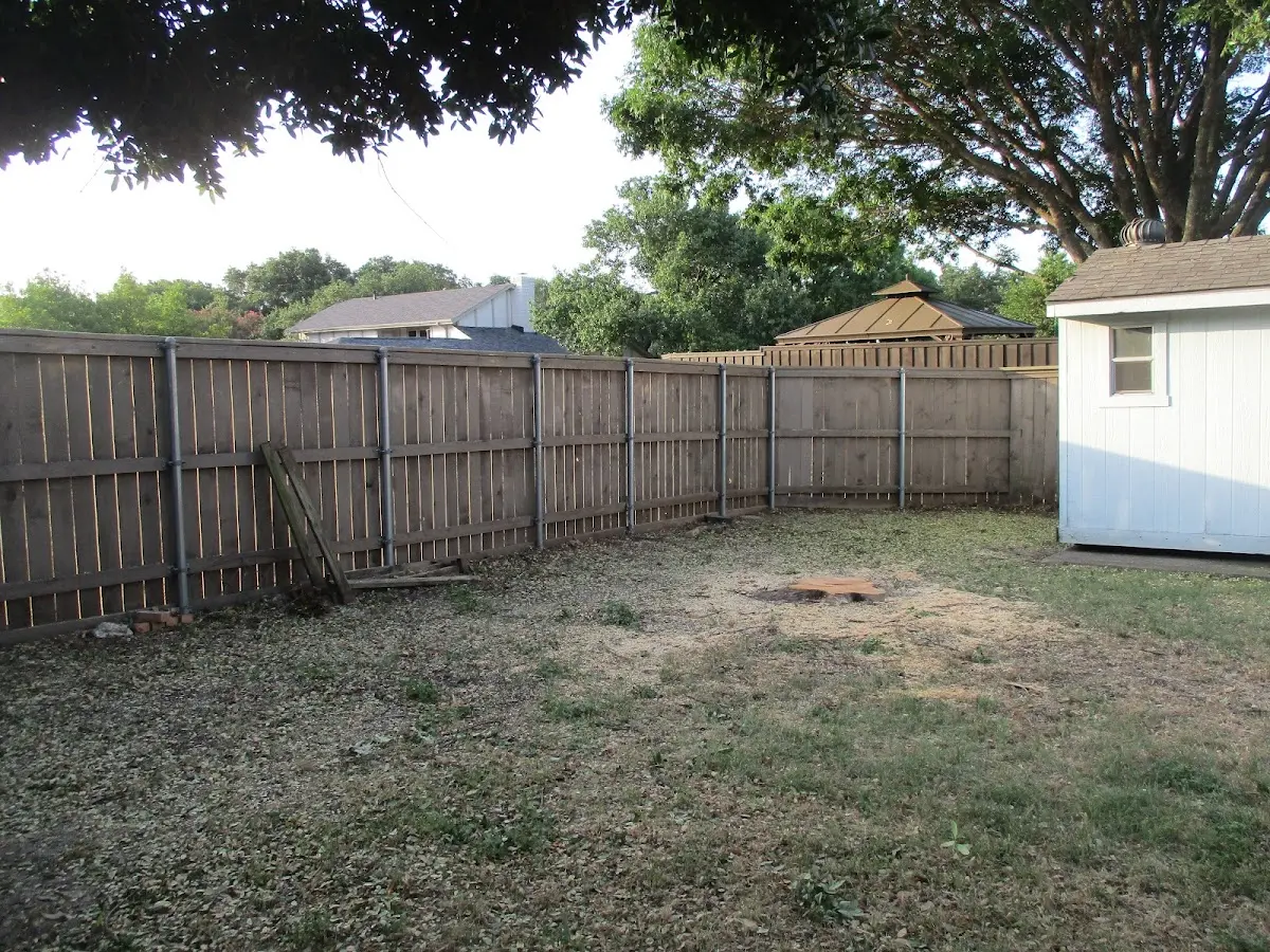 Cleared yard after professional tree removal in Holden
